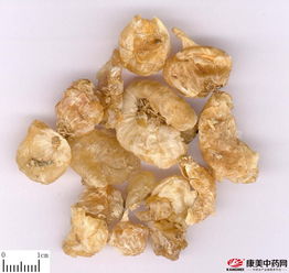 为 胸痹 之要药,疗泄痢常用之品的薤白是怎样种植的