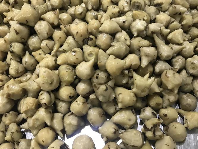 探访中国最大毒药生产基地 你吃的中药里可能就有它