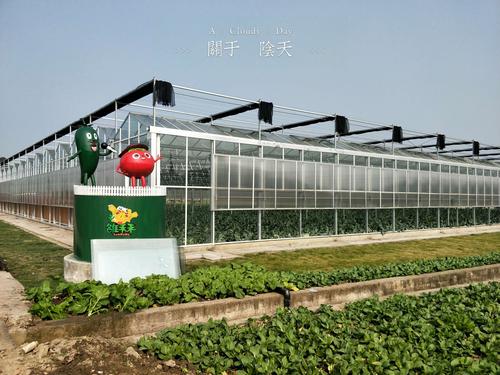 四川省众扶慈善基金会理事长~柏鹤先生一行来绵考察我公司"中药材种植